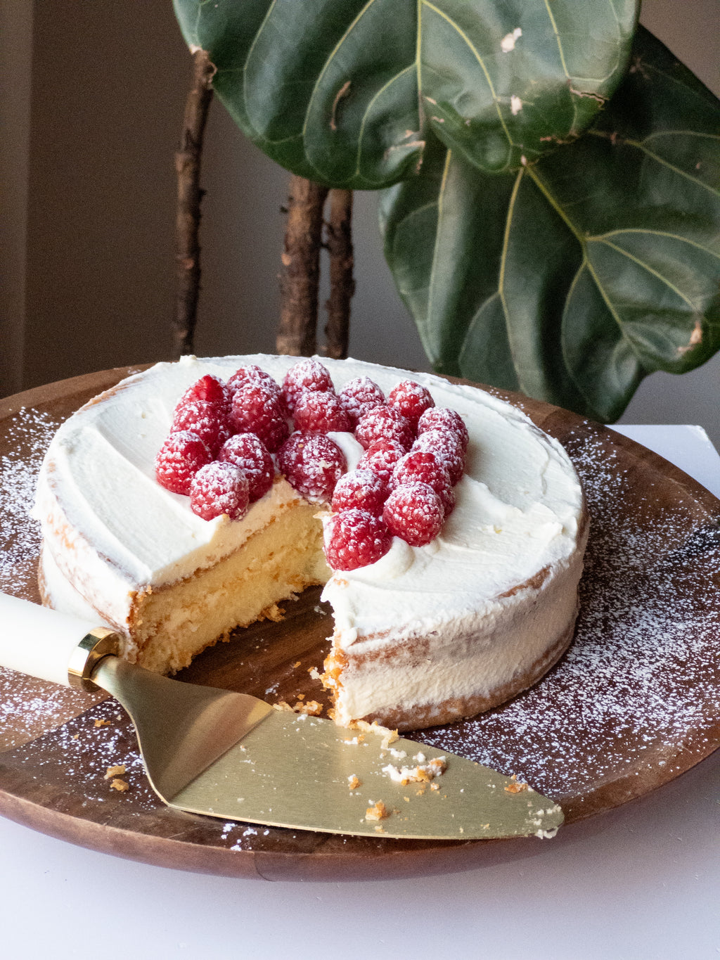 Silky Cream Custard Cake