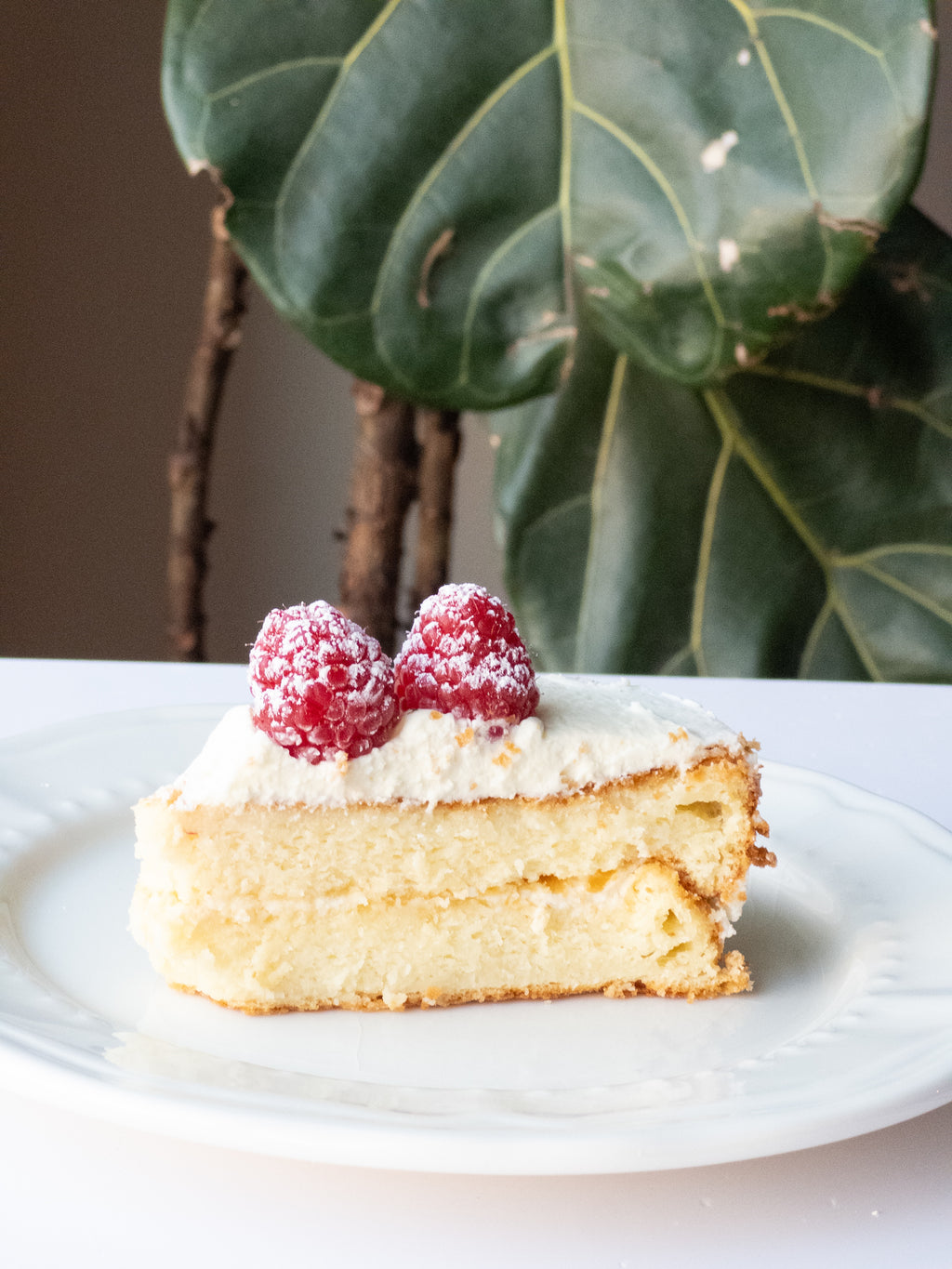 Silky Cream Custard Cake