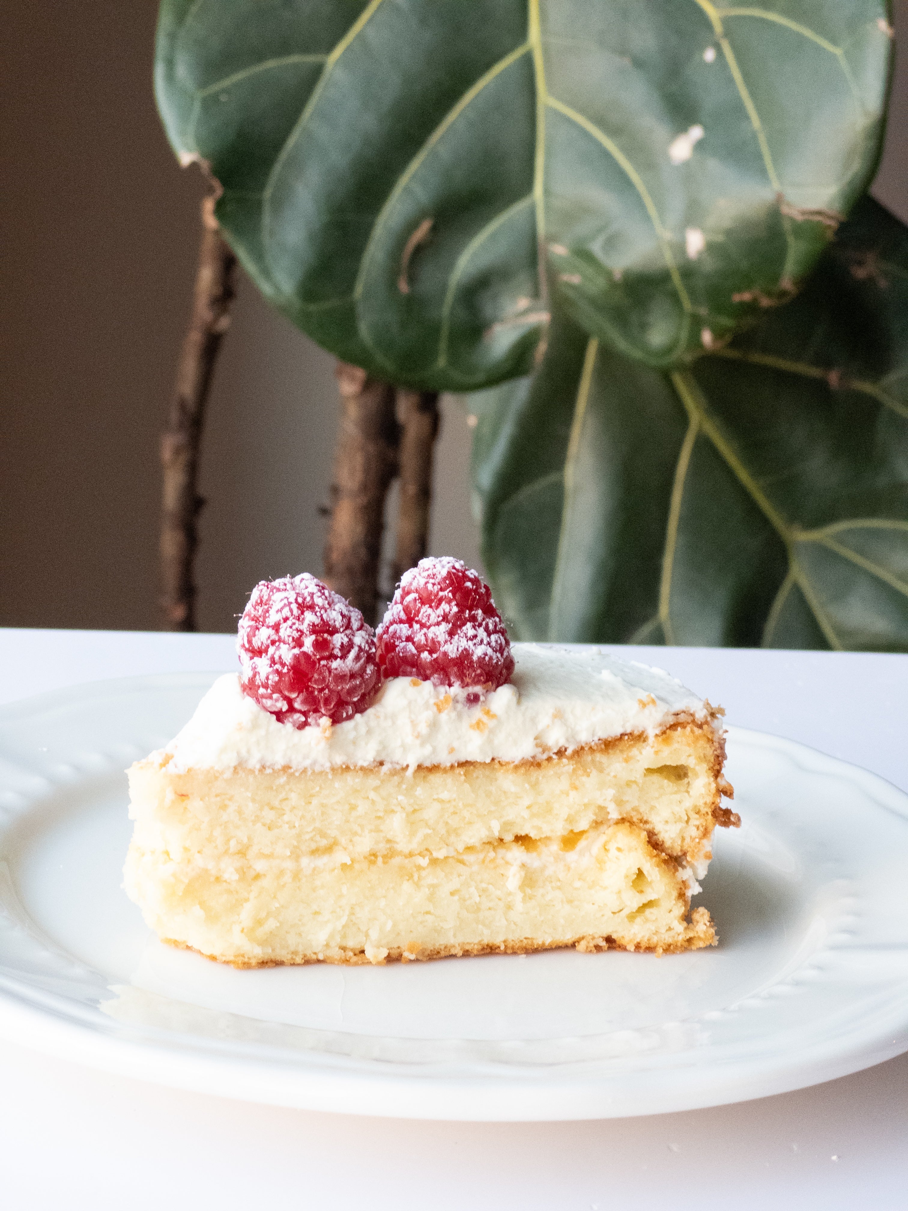 Silky Cream Custard Cake