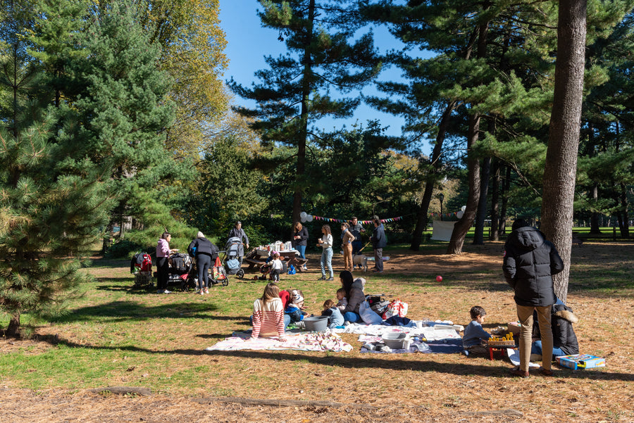 Families at an outdoor birthday party in the park