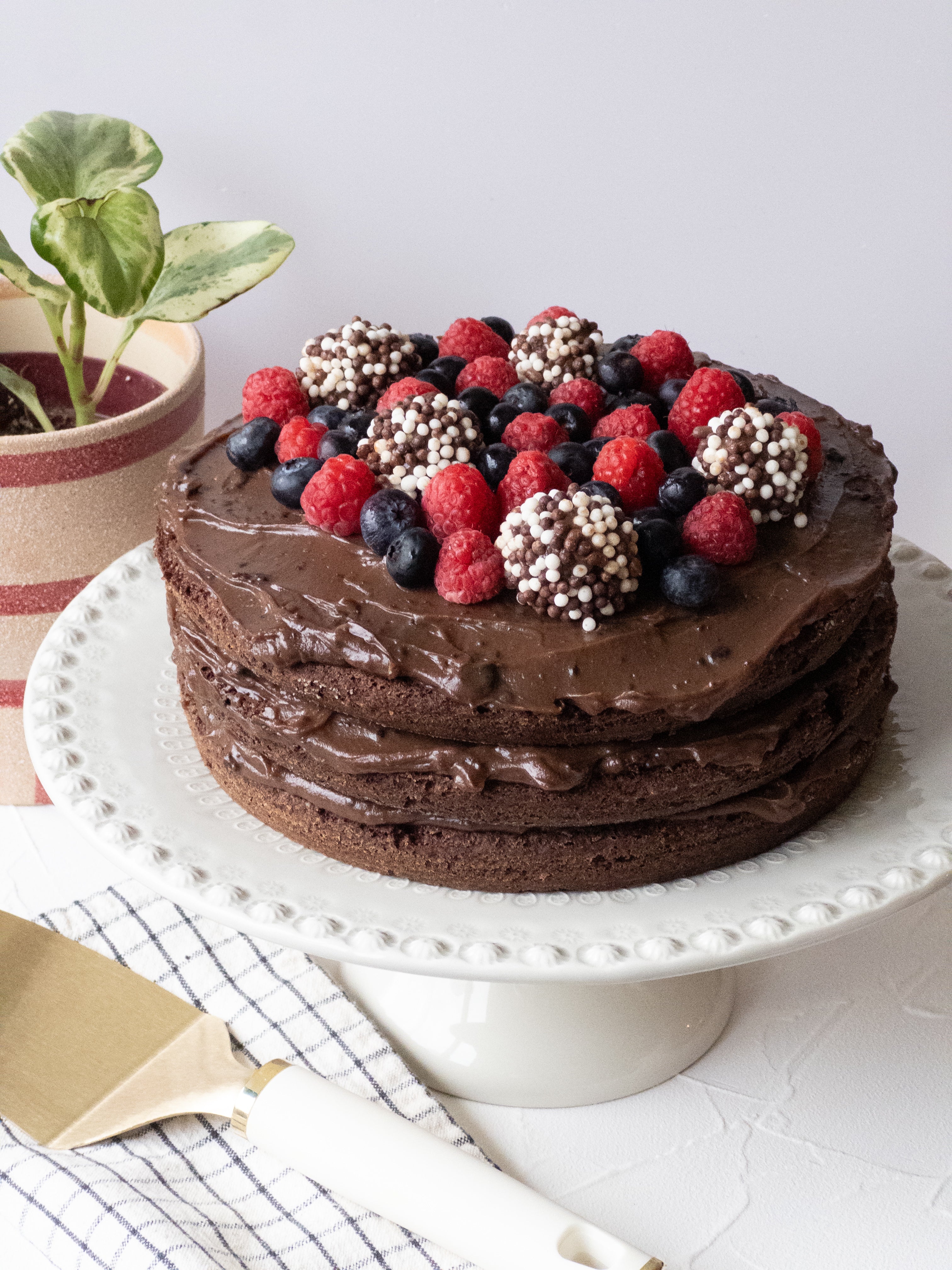 Double Chocolate Cake with Brigadeiro Topping & Fresh Raspberries